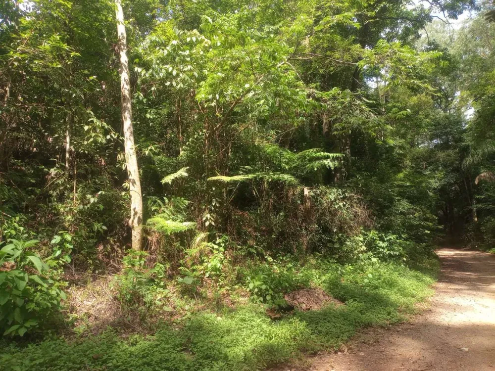 Terreno, 89 hectares - Foto 3