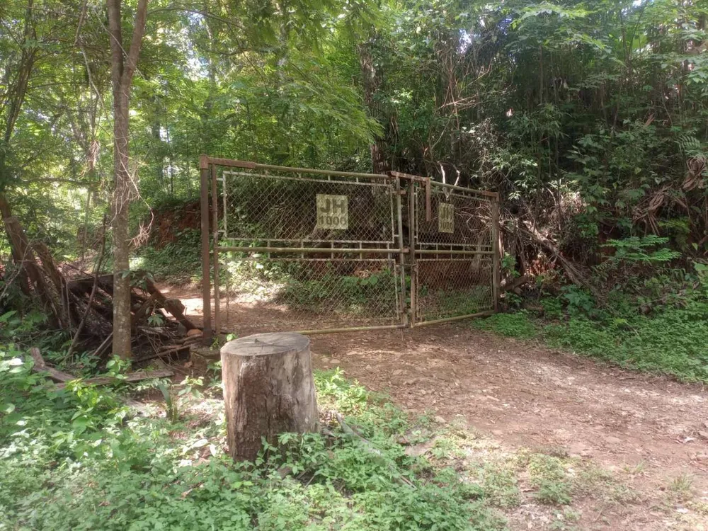 Terreno, 89 hectares - Foto 2