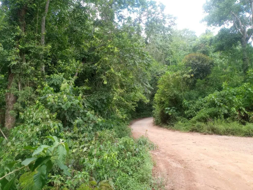 Terreno, 89 hectares - Foto 10