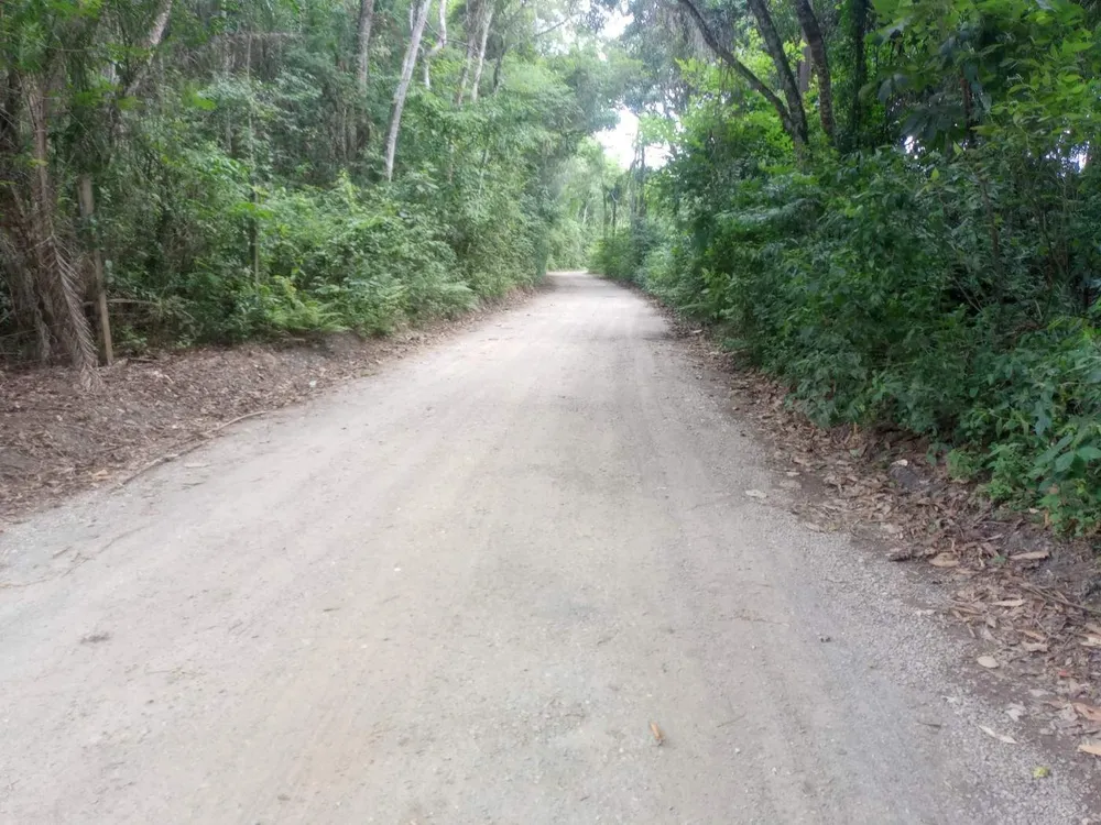 Terreno, 89 hectares - Foto 13