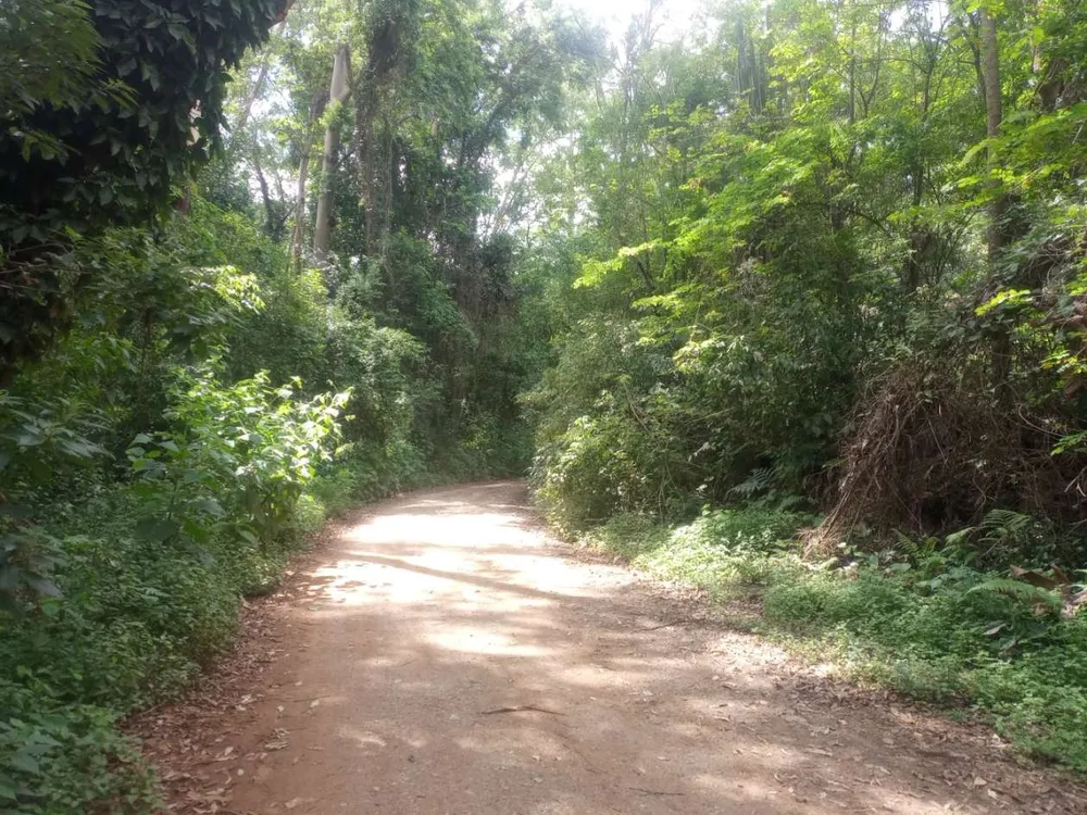 Terreno, 89 hectares - Foto 7