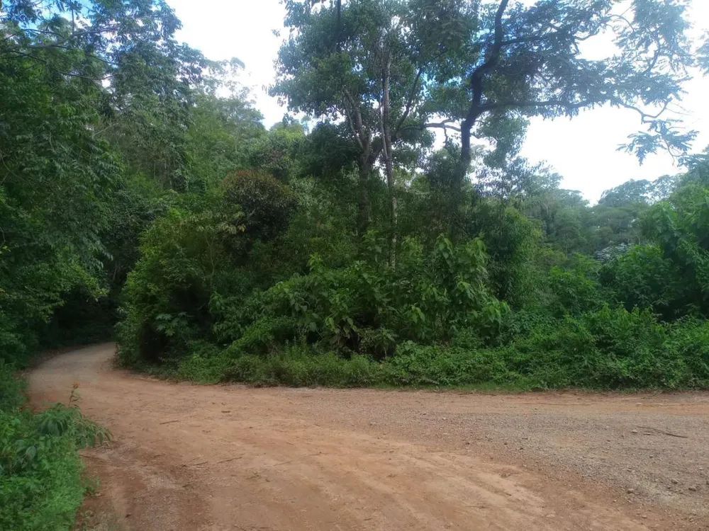 Terreno, 89 hectares - Foto 11