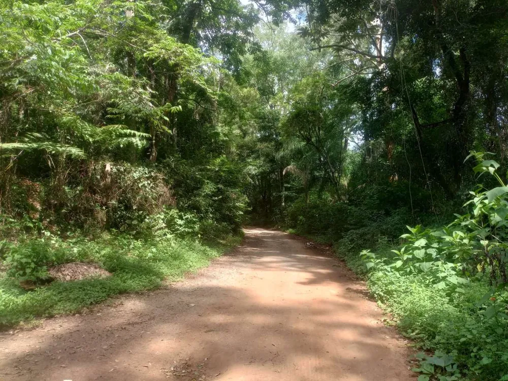 Terreno, 89 hectares - Foto 6