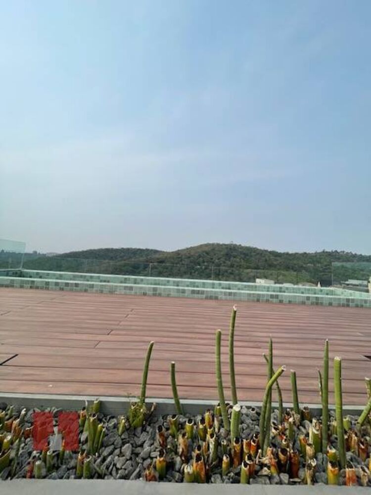 Casa, 3 quartos, 420 m² - Foto 16