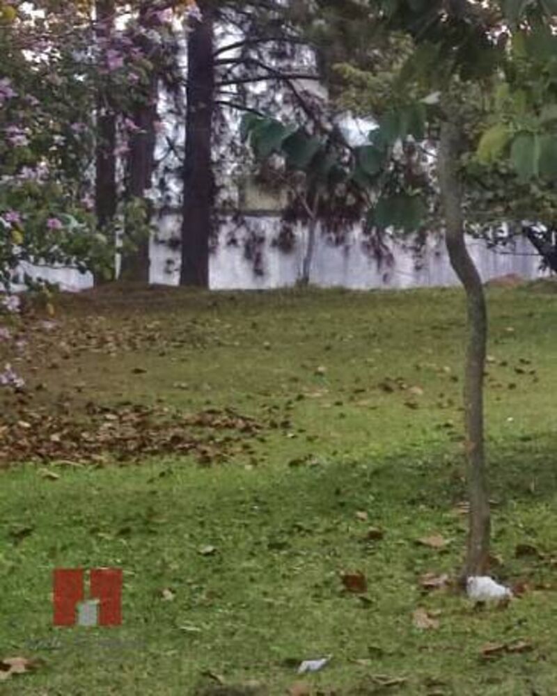 Terreno - Foto 1