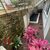 Casa, 5 quartos, 635 m² - Foto 11