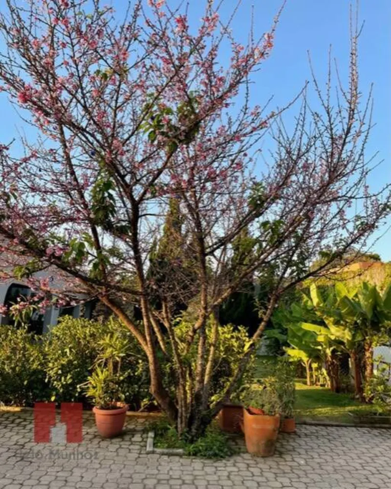 Casa, 6 quartos - Foto 7