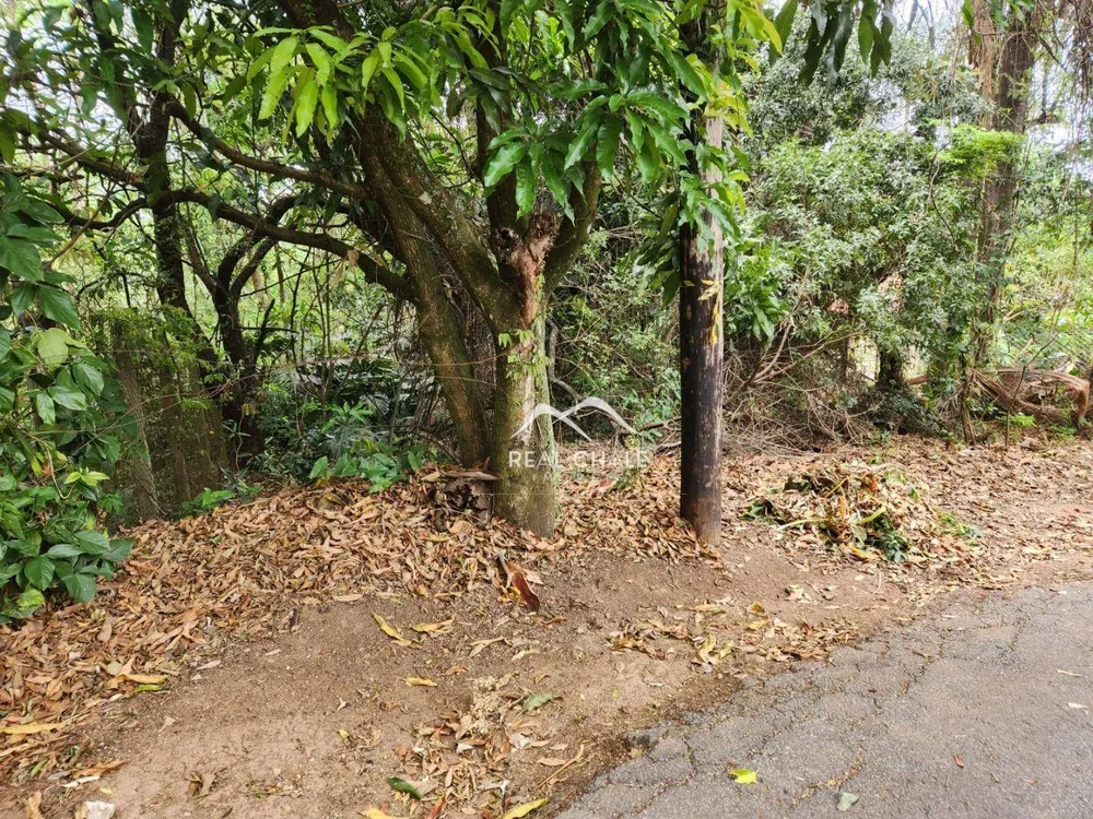 Loteamento e Condomínio, 1000 m² - Foto 3