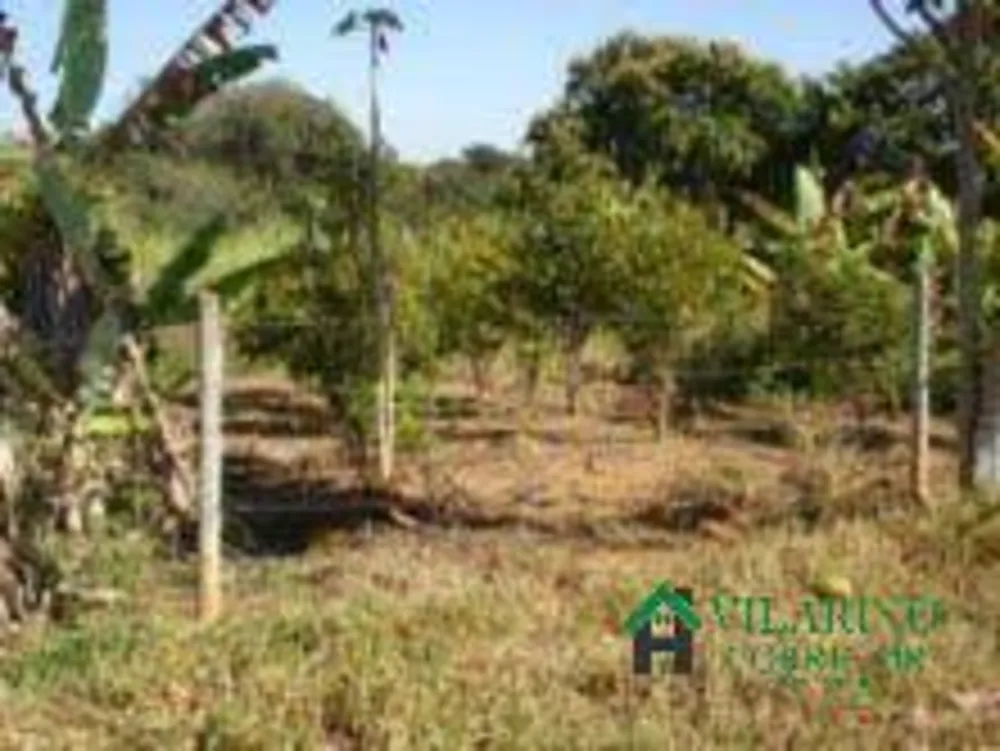 Terreno, 2 hectares - Foto 2