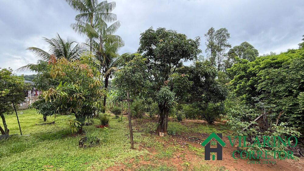 Sítio à venda com 3 quartos, 220m² - Foto 3