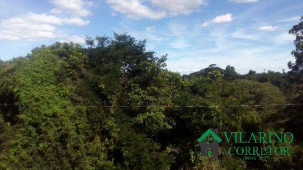 Sítio, 5 quartos, 4000 m² - Foto 6