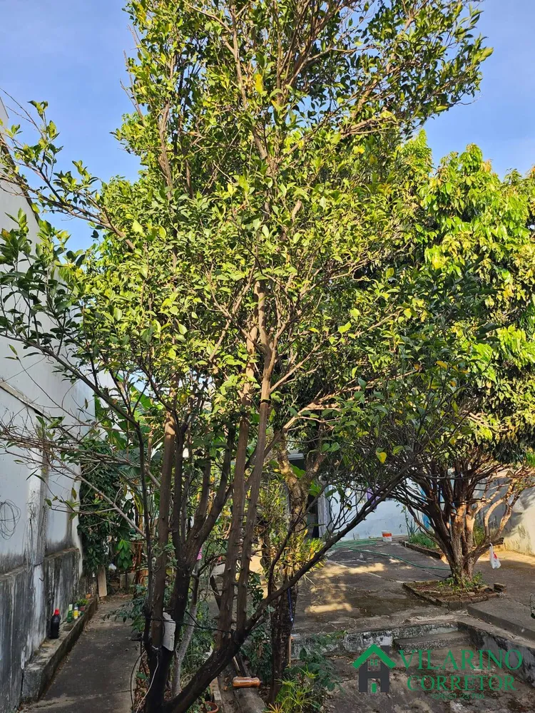 Casa, 1 quarto, 184 m² - Foto 2
