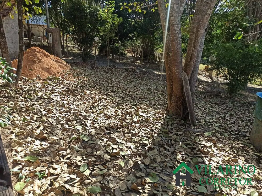 Chácara, 2 quartos, 5000 m² - Foto 3