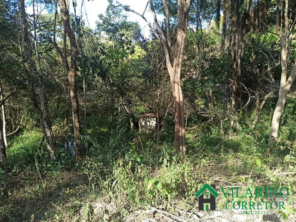 Chácara, 2 quartos, 5000 m² - Foto 11