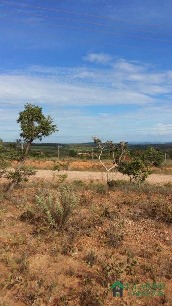 Terreno, 2 hectares - Foto 1