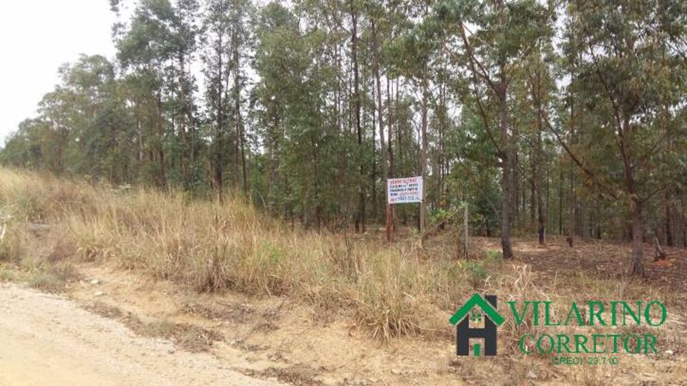 Terreno, 2 hectares - Foto 7