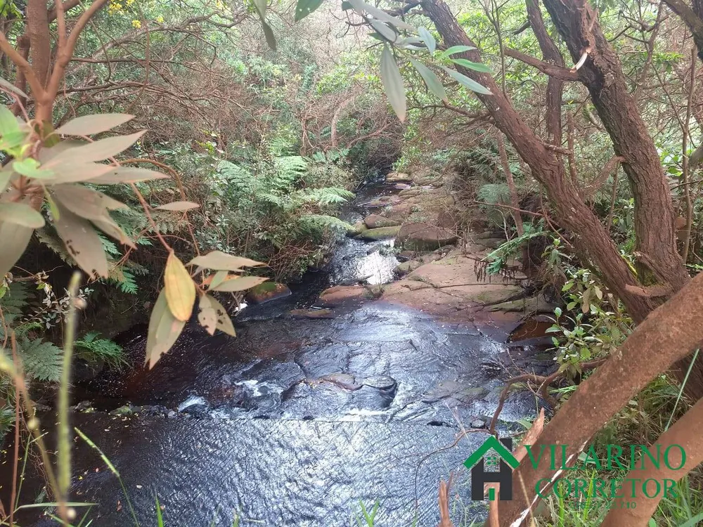 Sítio, 6 quartos, 3 hectares - Foto 12