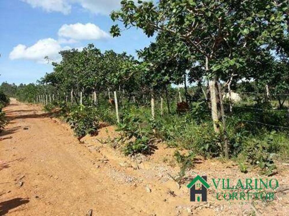Terreno, 1000 m² - Foto 4