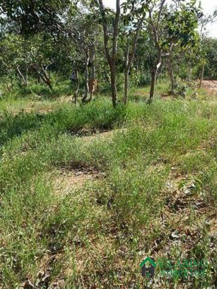 Terreno, 1000 m² - Foto 2