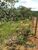 Terreno, 1000 m² - Foto 5