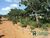 Terreno, 1000 m² - Foto 4