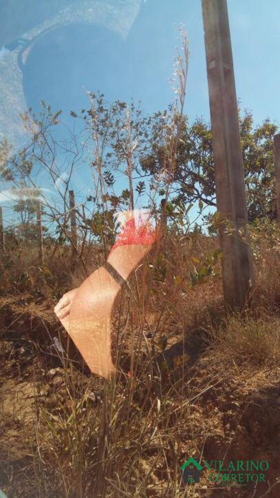 Terreno, 5 hectares - Foto 4