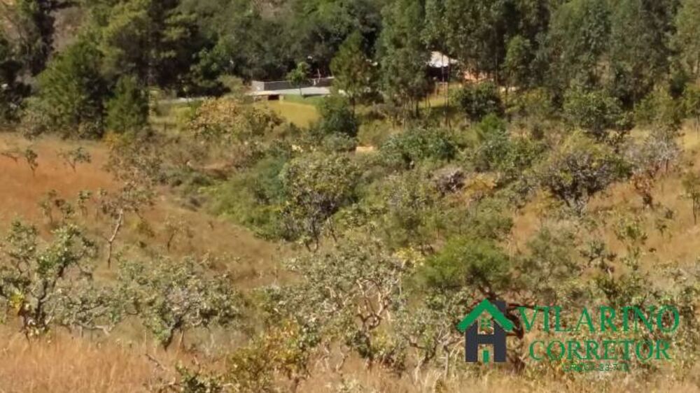 Terreno, 5 hectares - Foto 1