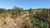 Terreno, 5 hectares - Foto 2