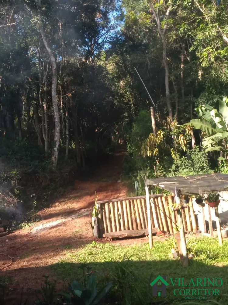Sítio, 2 quartos, 9000 m² - Foto 2