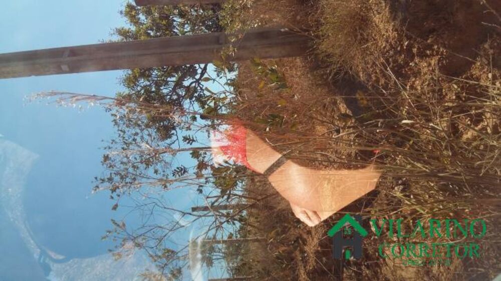 Terreno, 5 hectares - Foto 4