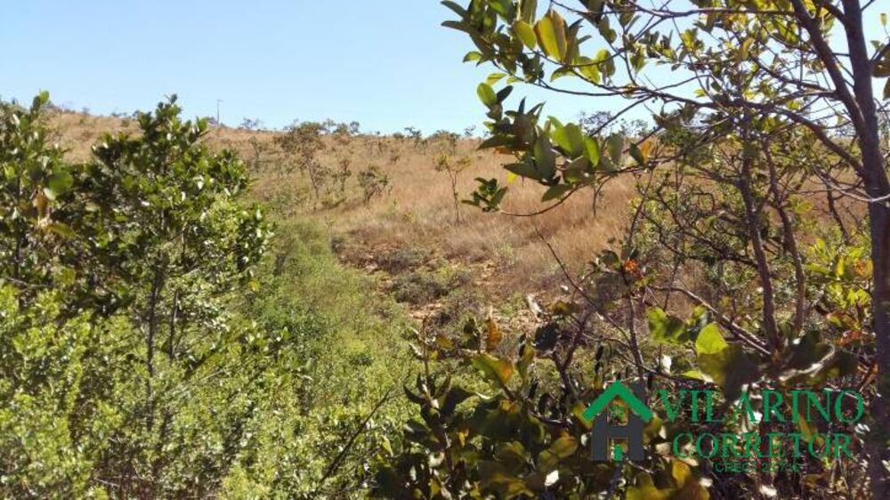 Terreno, 5 hectares - Foto 3