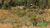 Terreno, 5 hectares - Foto 1