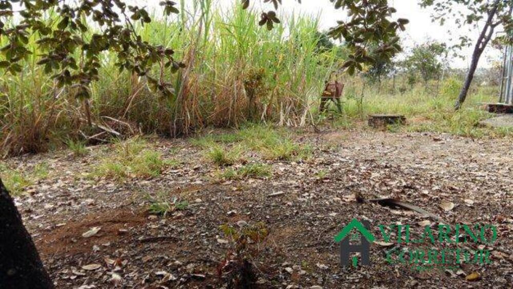 Fazenda à venda com 4 quartos, 1000m² - Foto 3