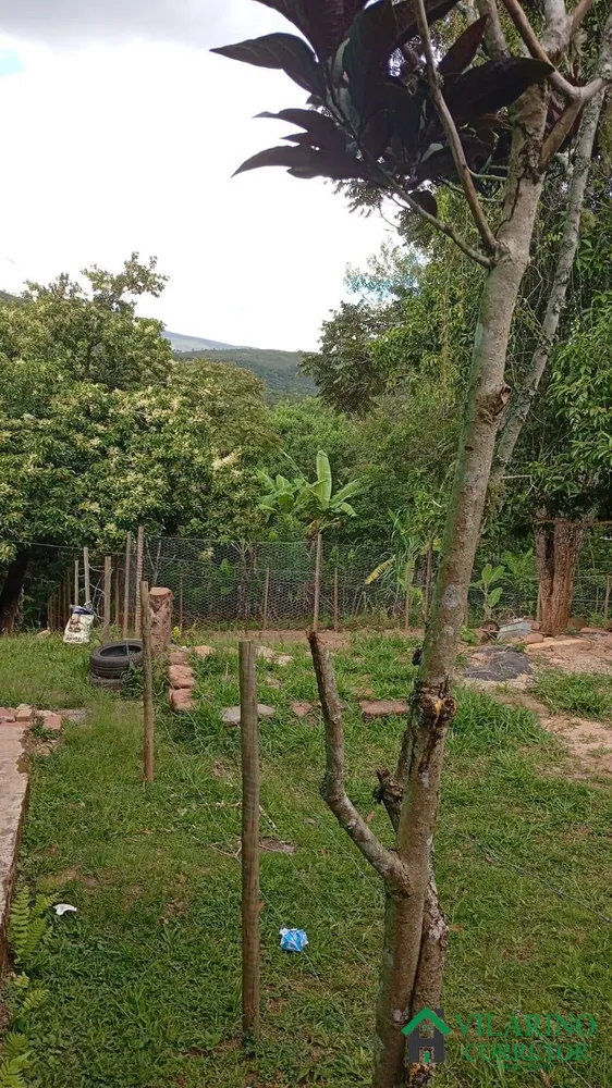 Sítio, 4 quartos, 1 hectares - Foto 8