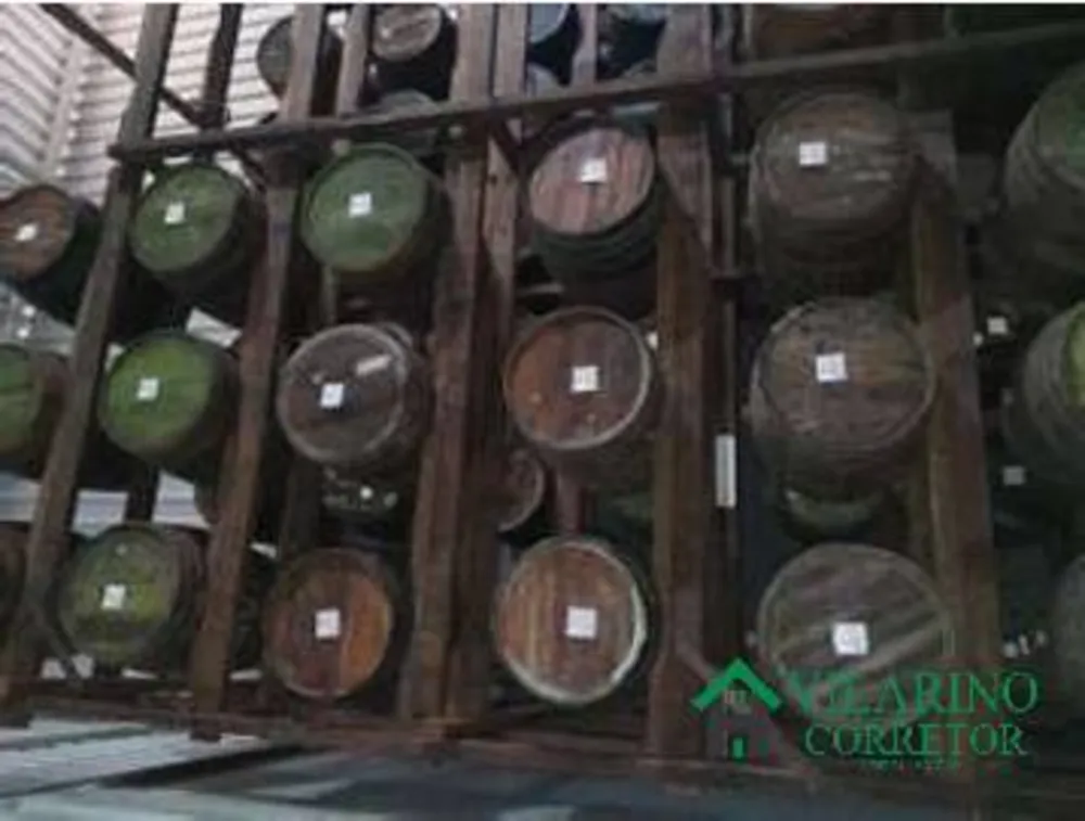 Fazenda, 22 hectares - Foto 4