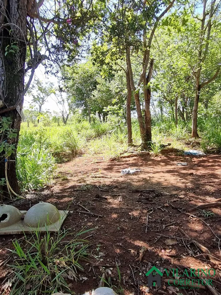 Terreno à venda, 28600m² - Foto 27