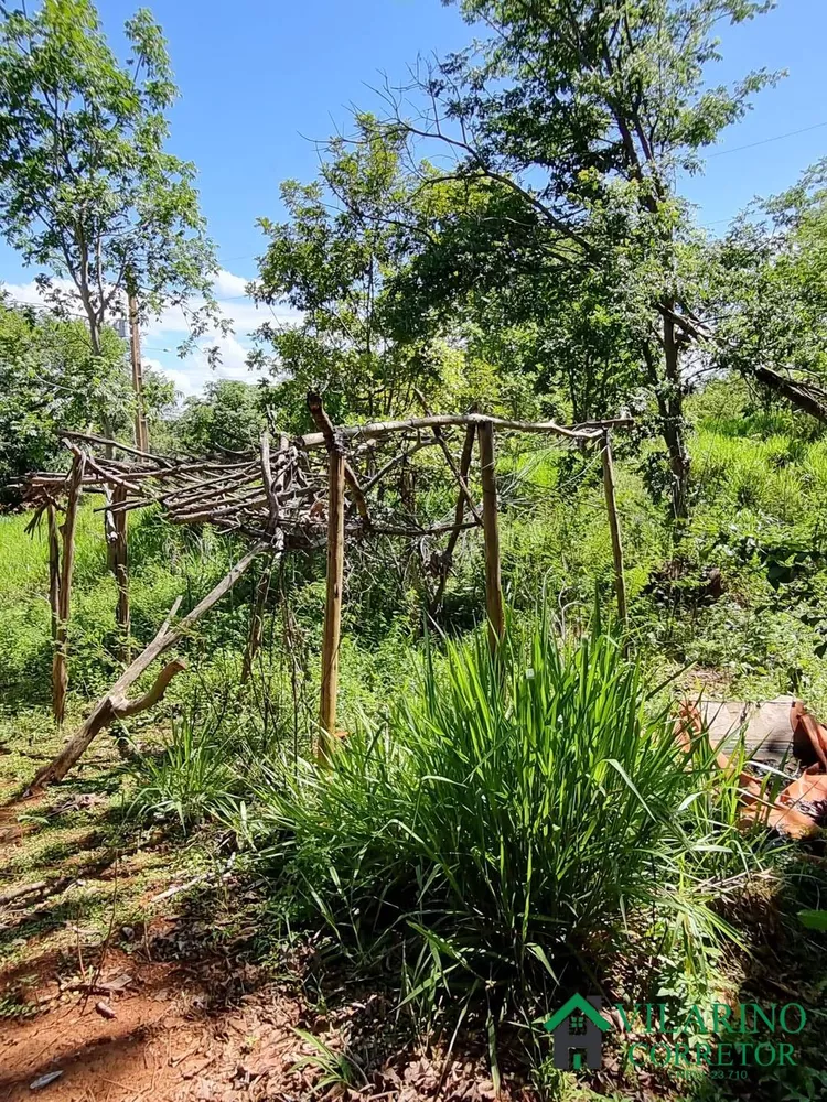 Terreno à venda, 28600m² - Foto 11