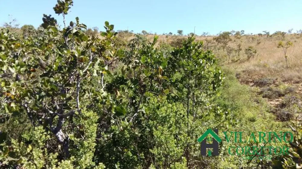 Terreno, 2 hectares - Foto 7