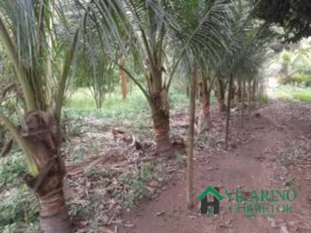 Fazenda, 450 m² - Foto 10