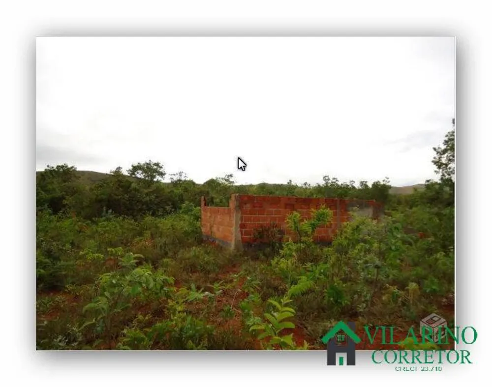 Terreno, 10000 m² - Foto 3
