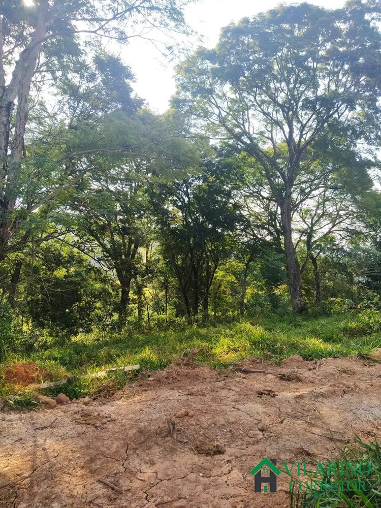 Terreno, 1000 m² - Foto 4