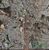 Terreno, 8280 m² - Foto 6