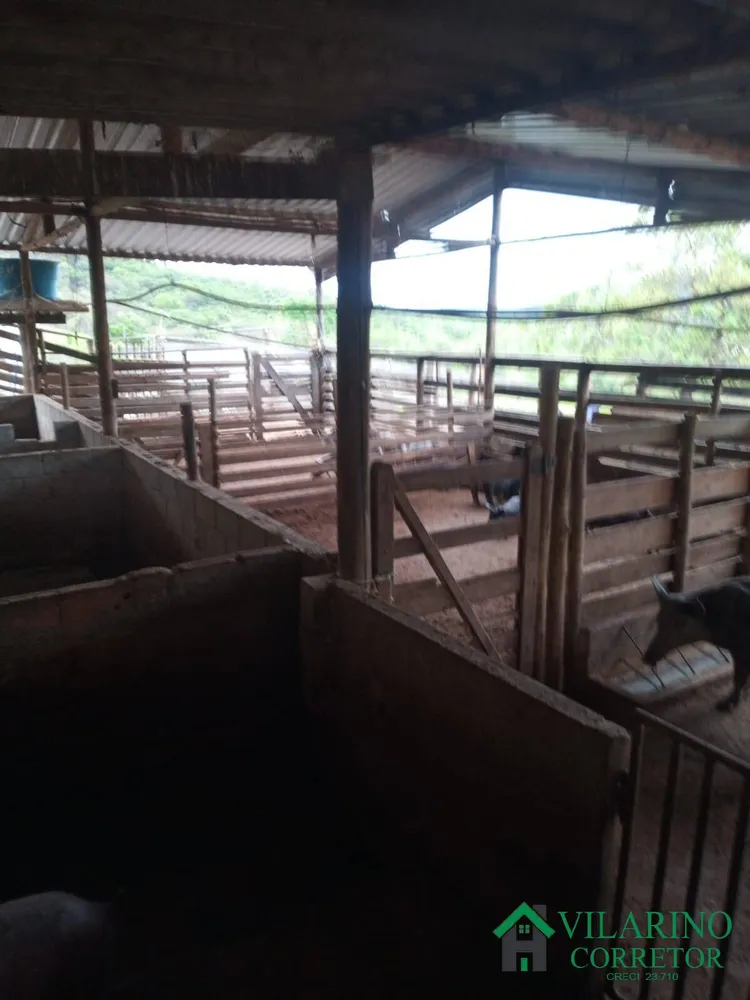 Fazenda, 33 hectares - Foto 6