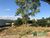 Terreno, 1000 m² - Foto 3