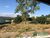 Terreno, 1000 m² - Foto 6