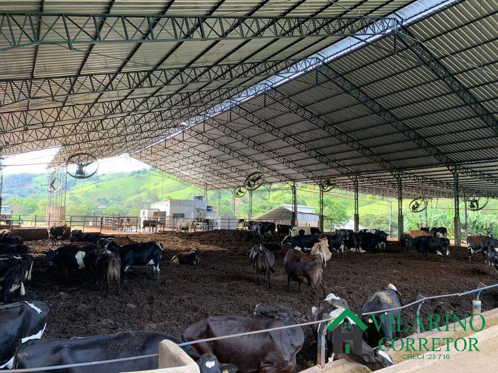 Fazenda, 85 hectares - Foto 3
