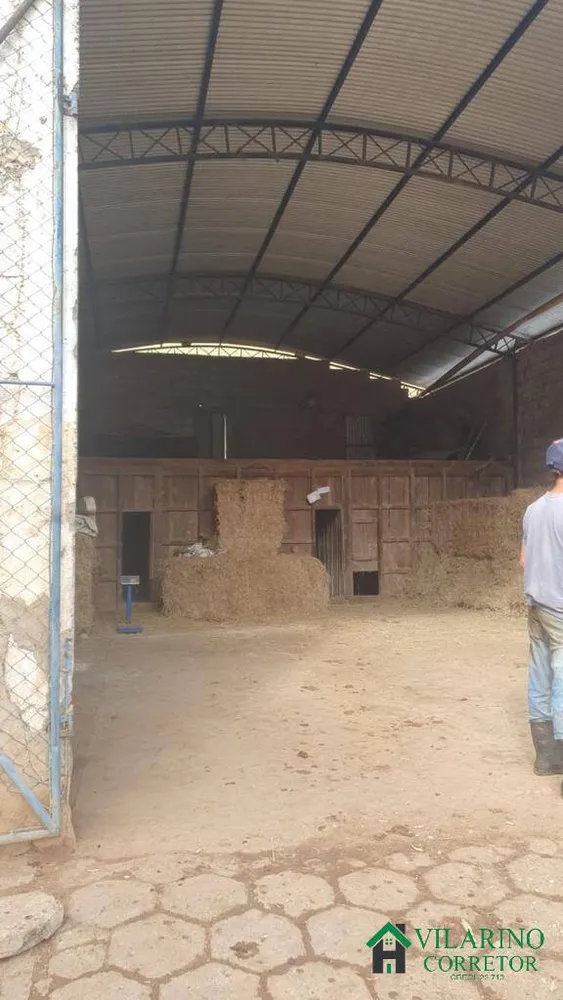 Fazenda, 85 hectares - Foto 4