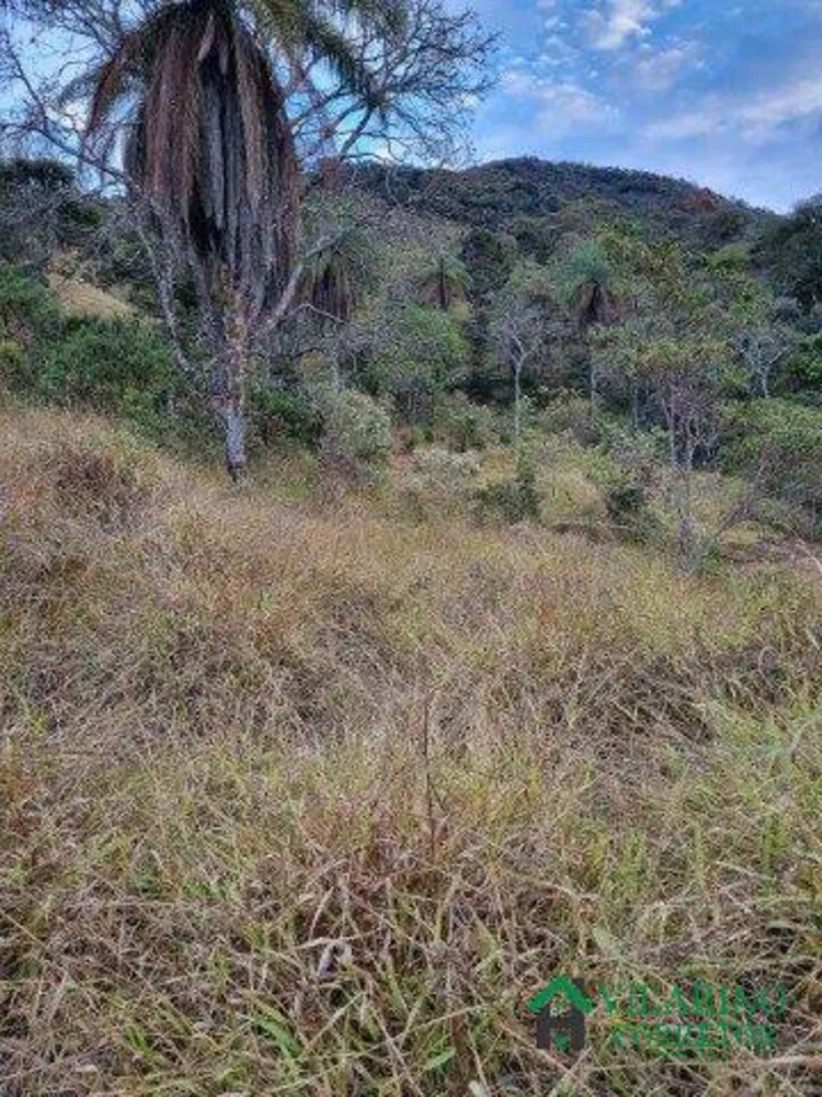 Terreno, 2 hectares - Foto 1