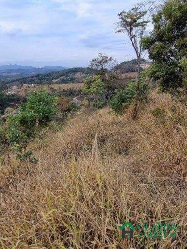 Terreno, 2 hectares - Foto 4