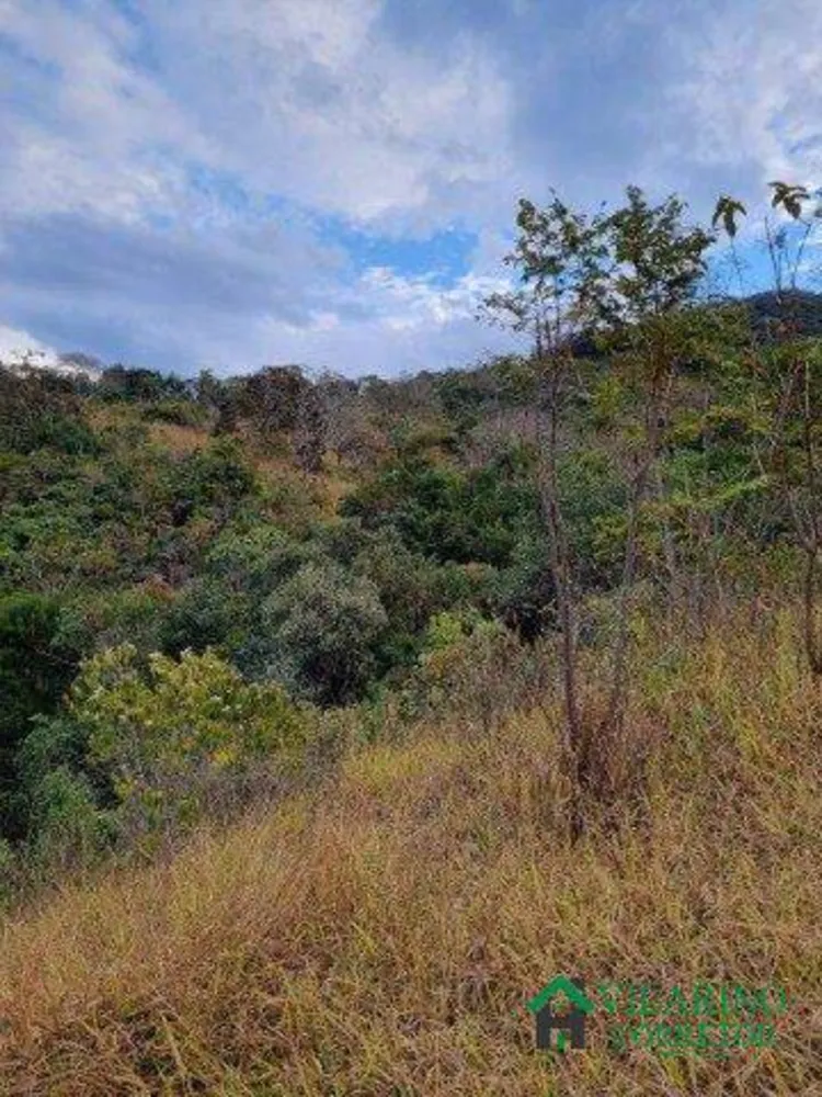 Terreno, 2 hectares - Foto 3